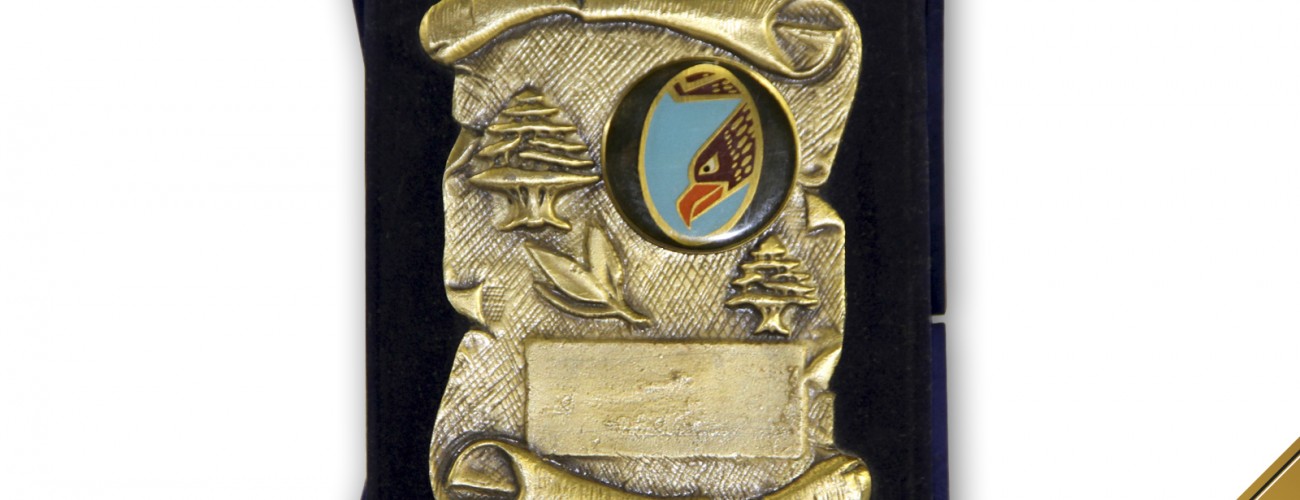 Lebanese Army Award